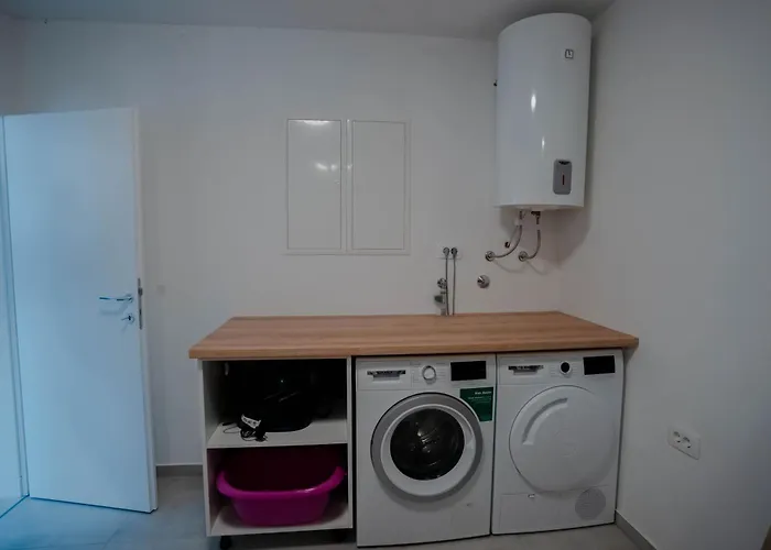 Azeitona * Сукошан