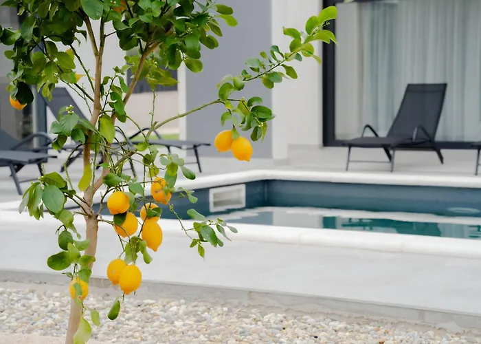 Azeitona Villa Sukošan