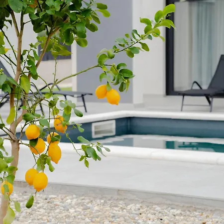 Azeitona Villa Sukošan